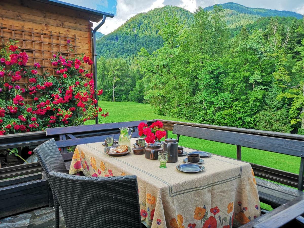 Holiday House Red Deer Preddvor Bagian luar foto