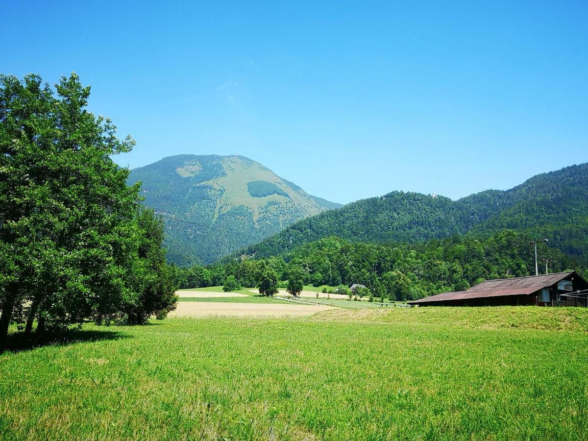Holiday House Red Deer Preddvor Bagian luar foto