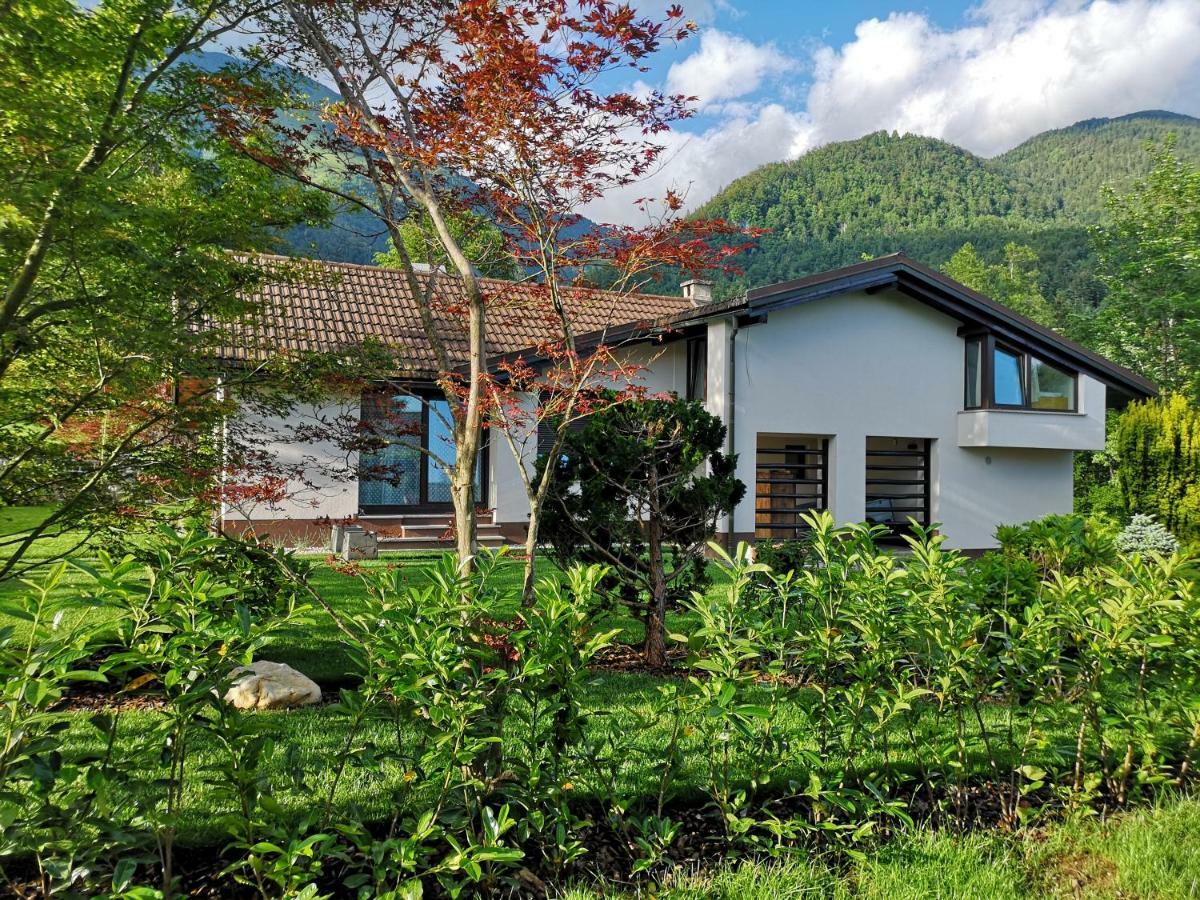 Holiday House Red Deer Preddvor Bagian luar foto